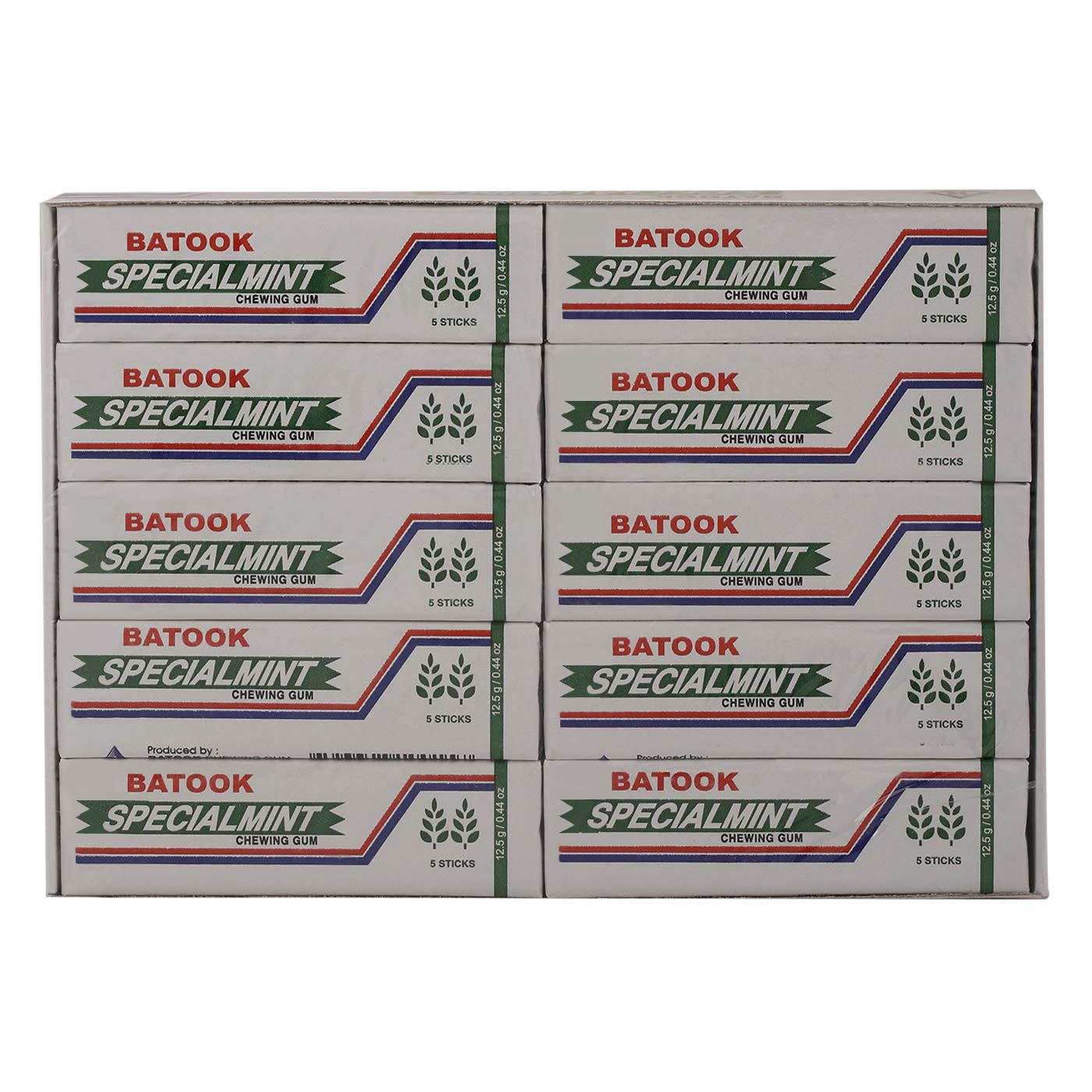 Batook 5 Sticks Special Mint Gum, 20 X 12g - Pack of 1